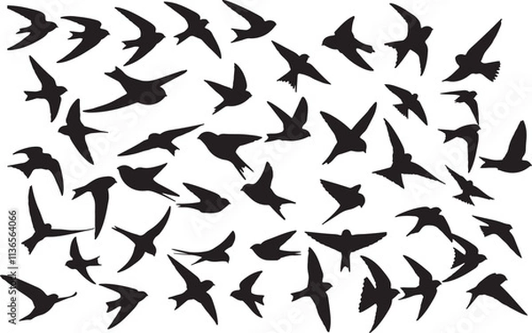 Fototapeta Vector Common Swift Silhouette Collection
