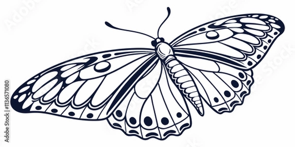 Fototapeta Vector Butterfly Line Art, isolated white background