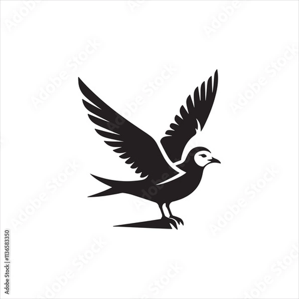 Obraz dove of peace