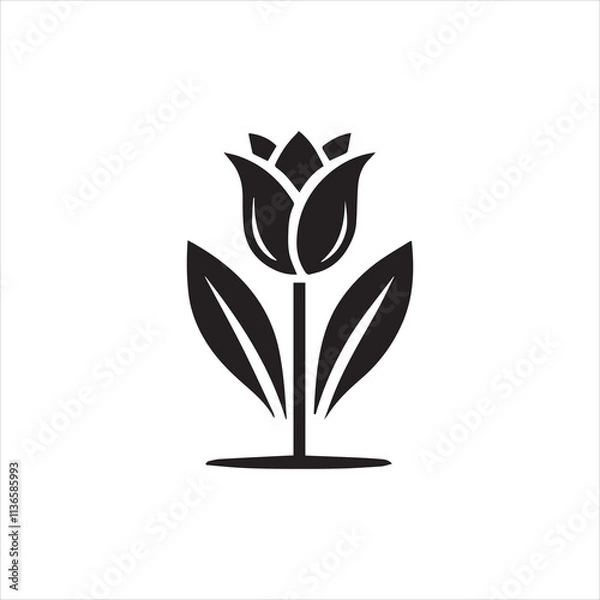 Obraz black and white flower