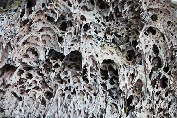 Fototapeta Texture of a lava