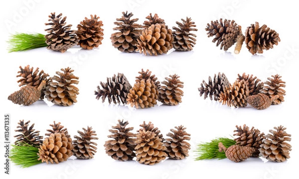 Fototapeta Pine cones isolated on white background