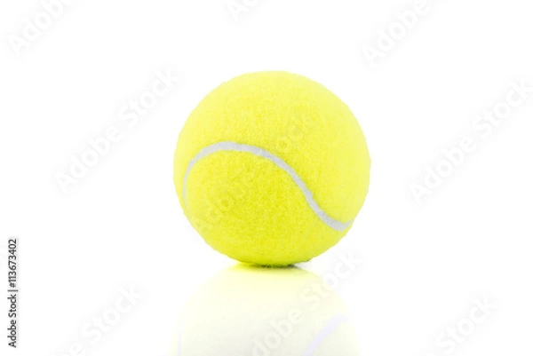 Obraz Green paddle ball