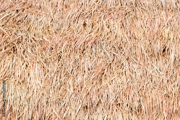 Fototapeta Thatch Roof