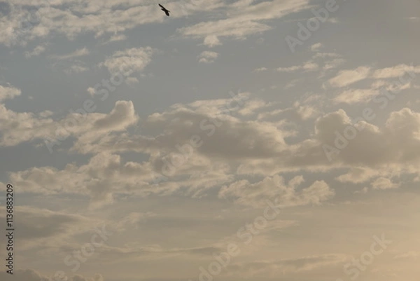 Fototapeta clouds and sky
