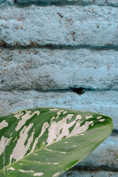 Obraz peeling paint on the wall