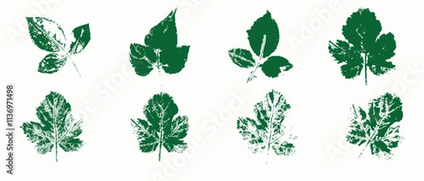 Obraz Natural leaves imprint, Grunge style, Vector, Isolated, Decorative elements for design