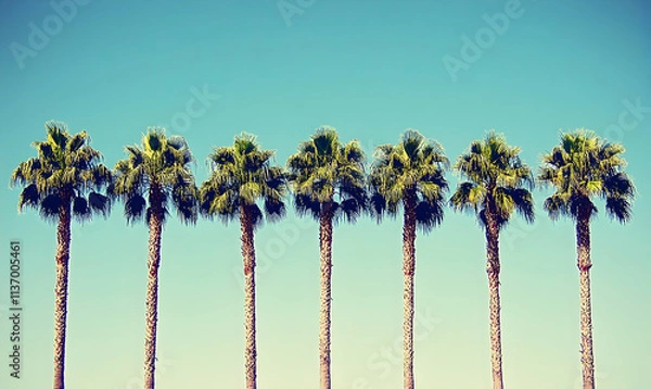 Fototapeta Seven majestic palm trees stand tall against a vibrant, clear blue sky, creating a serene and picturesque tropical scene. Ideal for travel, vacation, or summer-themed designs.