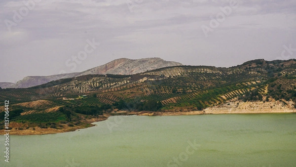 Fototapeta A Captivating Scenic View of Serene Waters Nestled Amongst Beautiful Rolling Hills