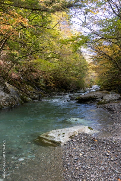Fototapeta 奥祖谷を流れる祖谷川　秋　(徳島県　三好市）