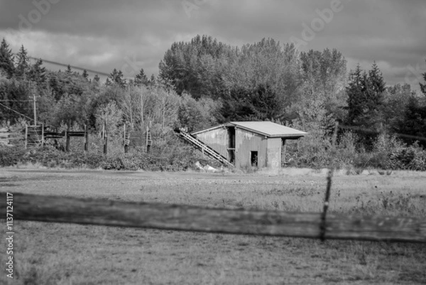 Obraz old barn, black and white