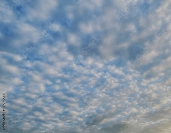 Obraz Beautiful sky with fluffy white clouds, soft and serene atmosphere, perfect for a clear and peaceful day