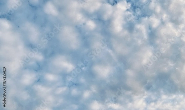Obraz Beautiful sky with fluffy white clouds, soft and serene atmosphere, perfect for a clear and peaceful day