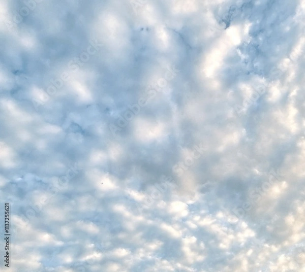 Obraz Beautiful sky with fluffy white clouds, soft and serene atmosphere, perfect for a clear and peaceful day