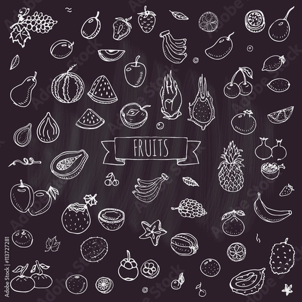 Fototapeta Hand drawn doodle fruits icons set Vector illustration seasonal fruits symbols collection Cartoon different kinds of fruits Various types of tropical fruits on white background Sketch style Fruit eps