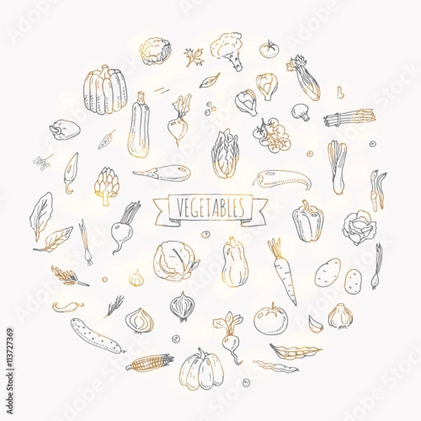 Fototapeta Hand drawn doodle vegetables icons set Vector illustration seasonal vegetable symbols collection Cartoon different kinds of vegetables Various types of vegetables on white background Sketchy style
