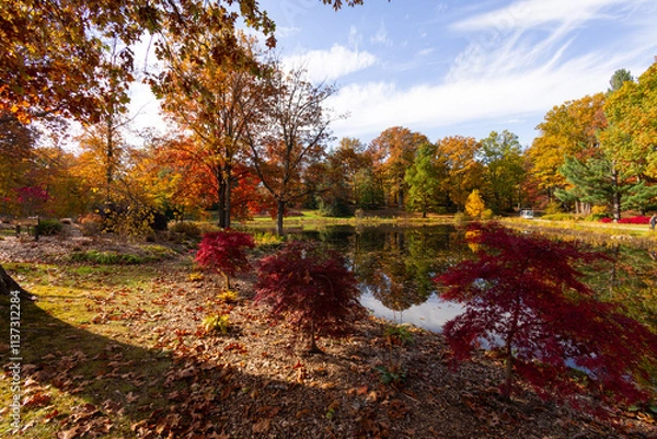 Obraz Autumn landscape reflecting in the calm waters of the pond with beautiful serene scenery. 