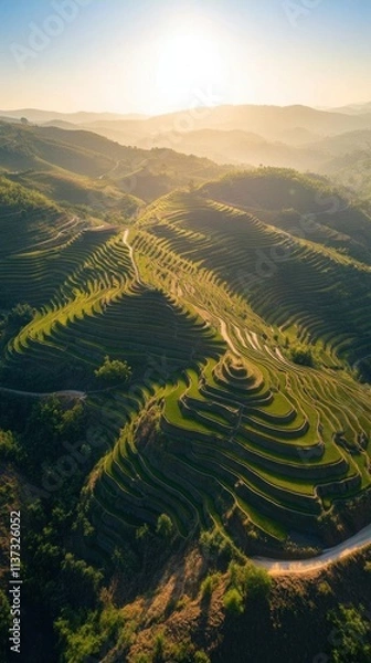 Obraz Aerial view of terraced rice fields in a mountainous landscape.