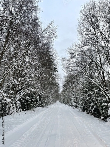 Obraz road in winter