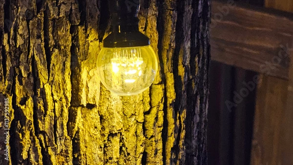 Obraz ランプの灯り