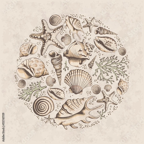 Fototapeta Vector vintage card with seashells, corals and starfishes