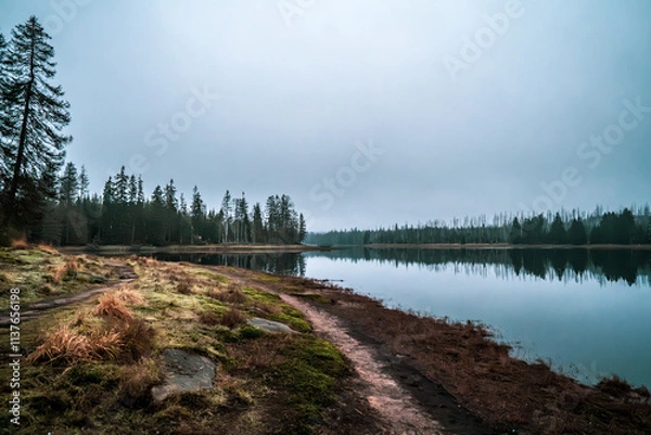 Fototapeta Oderteich Harz