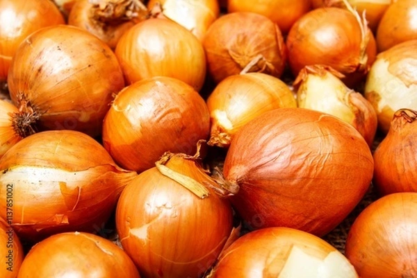 Fototapeta a lot of ripe onions on burlap
