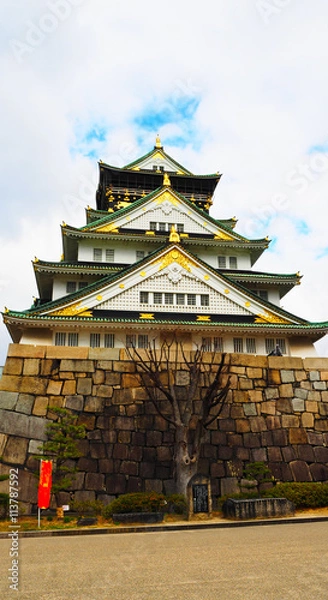 Fototapeta Osaka castle