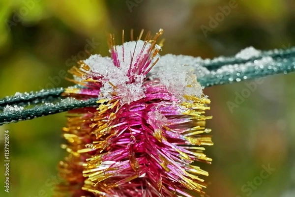 Obraz Happy New Year.Christmas tree decorations and toys for fir trees covered with snow and ice. Close-up. Merry Christmas.2024.