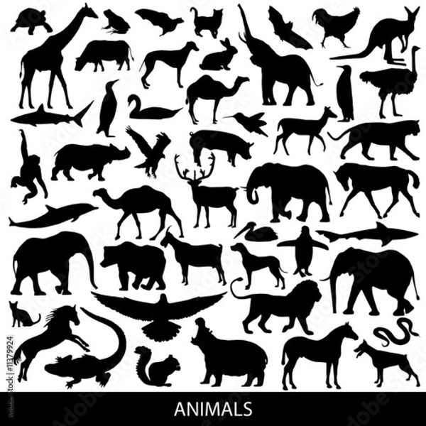 Fototapeta animals silhouettes