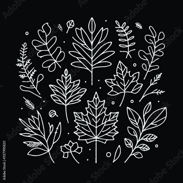 Fototapeta Illustrator Artwork Hand Drawn Vintage Sketch Drawing, green leaves Line Art, Plants Collection branches Floral elements, set of Botanical Illustration Outline leaf, branch Black And White leaves