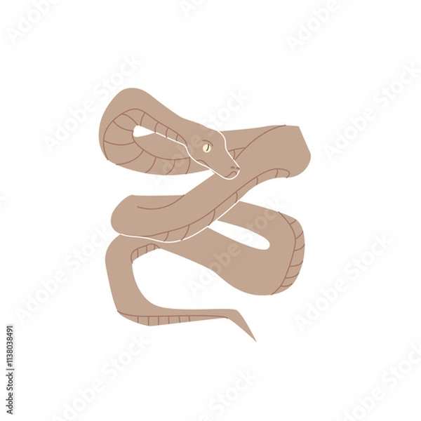 Fototapeta Snake with patterns coiled in a wavy shape, simplistic cartoon style, displayed on a white background.