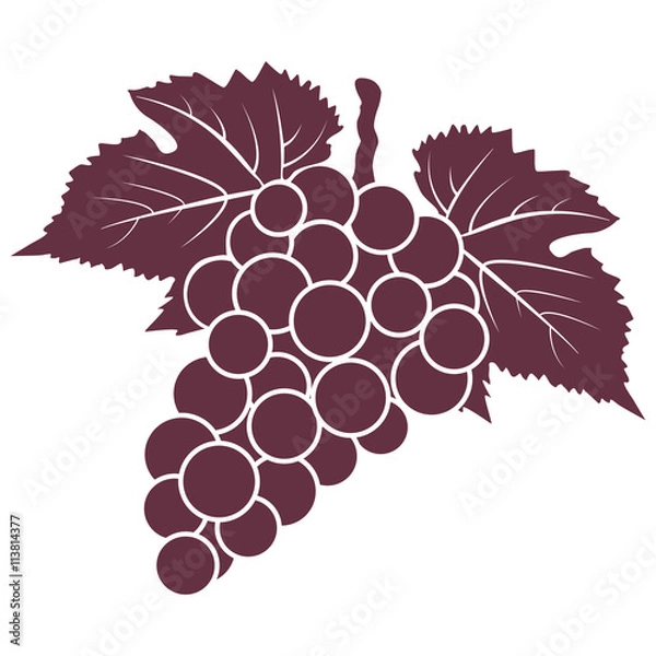 Obraz bunch of red grapes with leaves