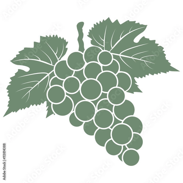 Obraz bunch of white grapes with leaves