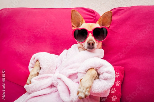 Obraz wellness dla psów