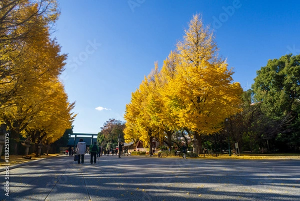 Obraz 靖国神社　銀杏