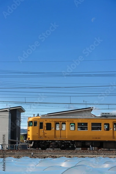 Obraz 真昼の月が浮かぶ青空の中を走り抜ける115系電車_2021/11/27撮影