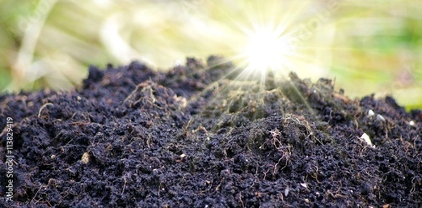 Obraz Sonnenlicht scheint auf Erdhaufen