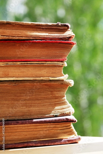 Obraz Old Books