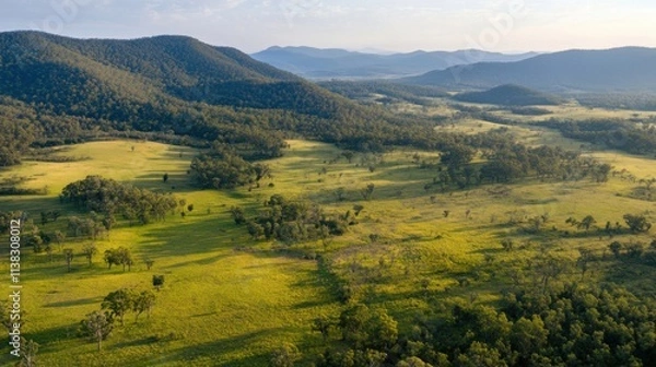 Fototapeta Protected national park with restored