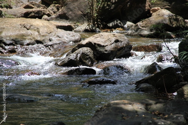 Obraz a dark stone in river
