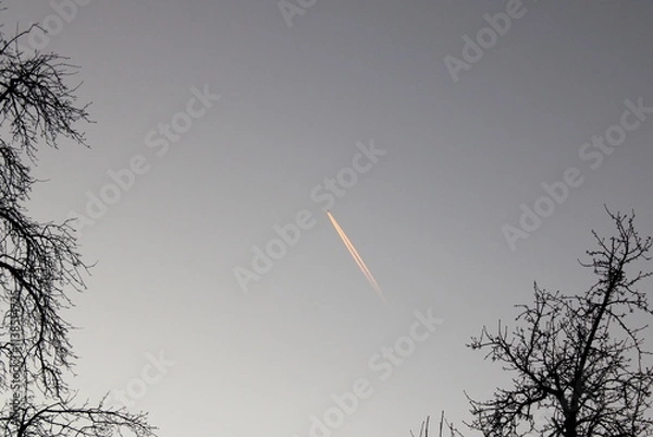 Obraz airplane in the sky