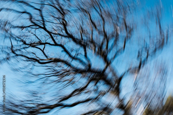 Fototapeta trees with motion blur