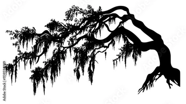 Fototapeta Spanish moss draping from live oak tree branches, Vectorized Plant Art
