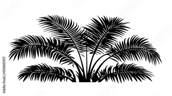 Fototapeta Sago palm with stiff, feather-like fronds emerging from the center, Plant Vector Graphic