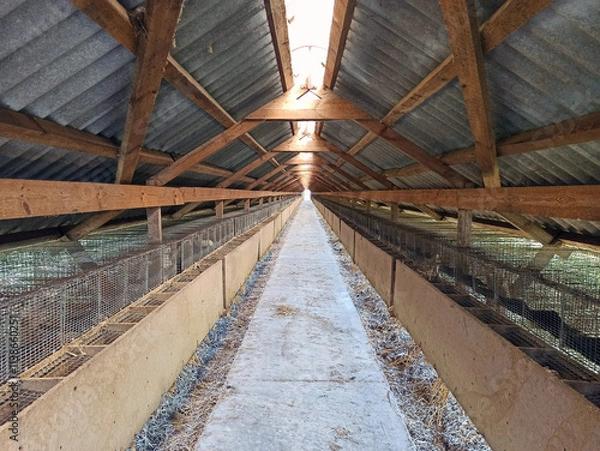 Obraz Internal view of a shed for keeping minks.