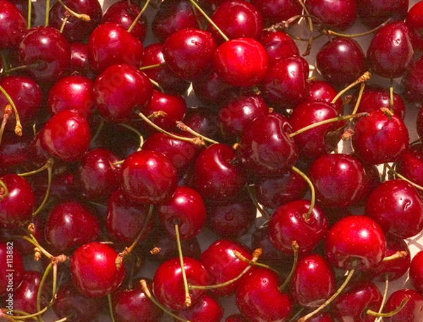 Obraz cerises