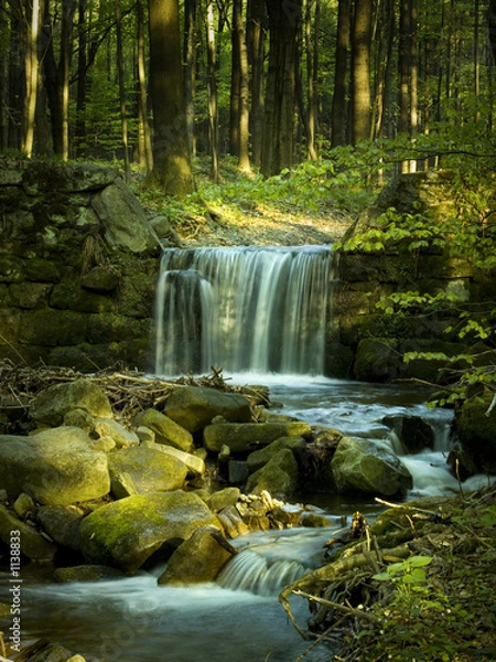 Obraz waterfall stream