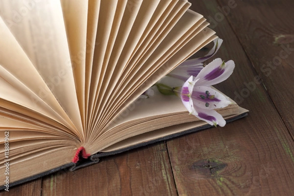 Fototapeta Open book on light table. Back to school. Copy space