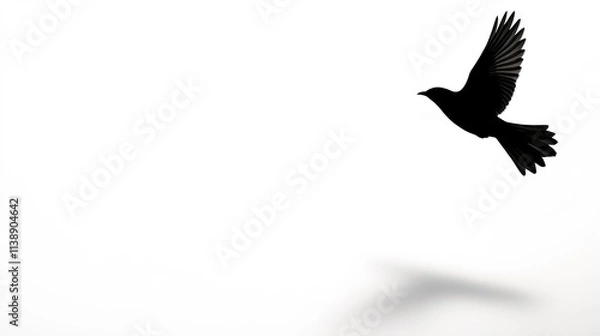 Fototapeta Silhouetted bird in flight against white background with shadow